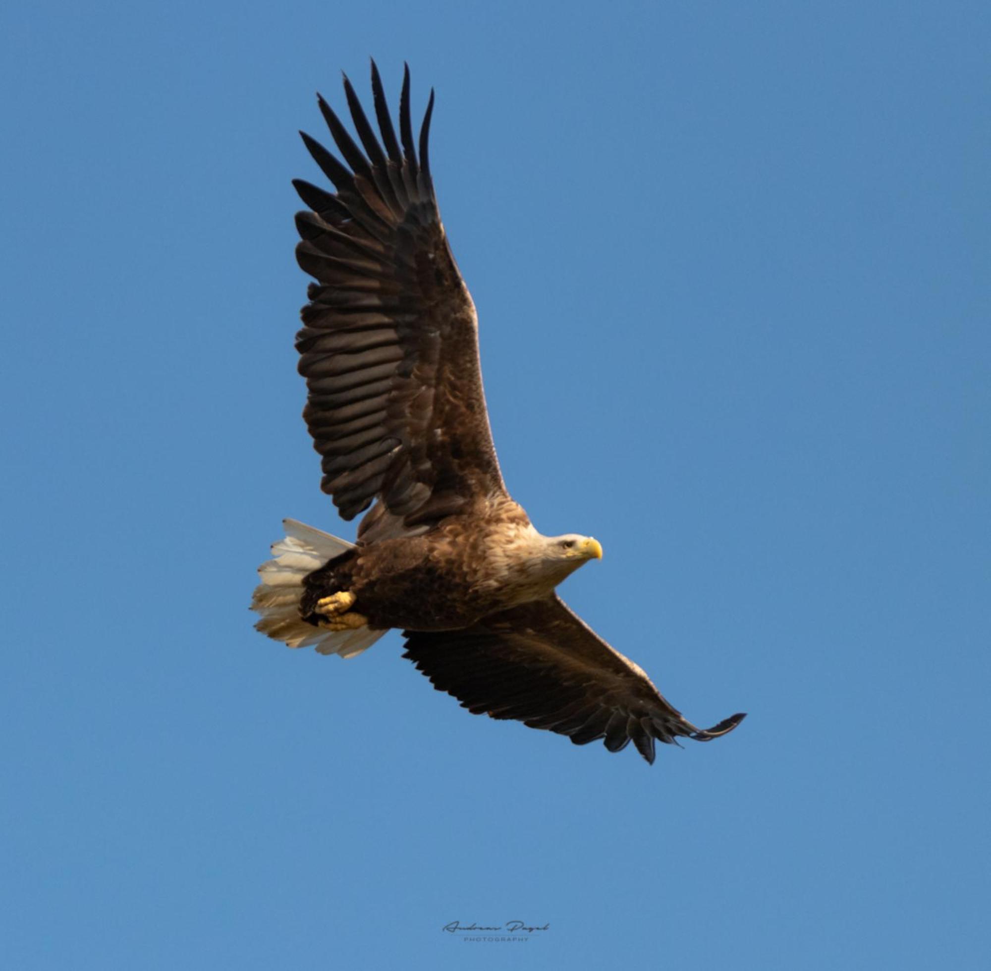 Fewo Seeadler - Heuser Prerow Exterior photo