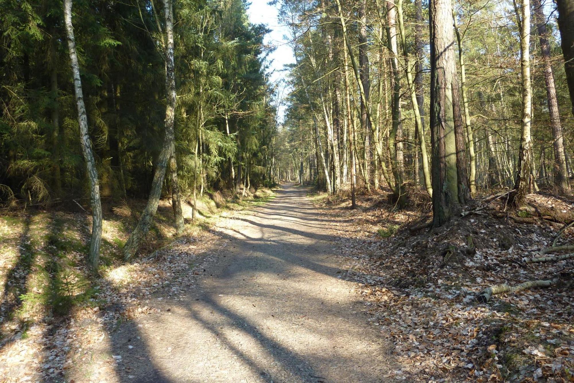 Fewo Seeadler - Heuser Prerow Exterior photo